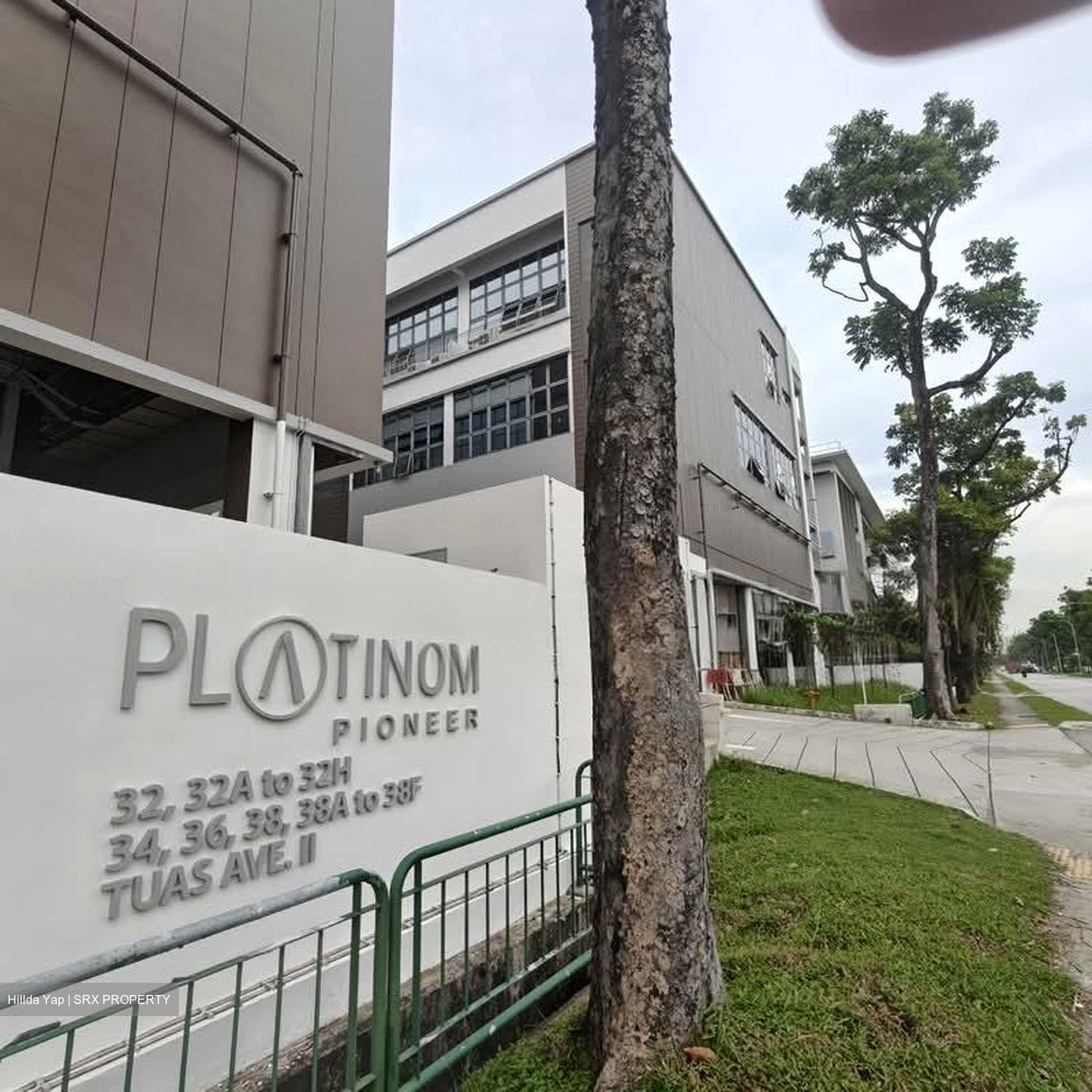 PLATINUM @ PIONEER (D22), Factory #545849061